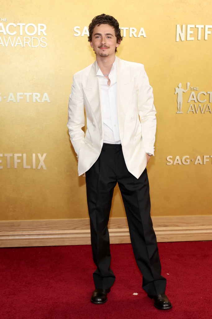 Timothée Chalamet in Prada